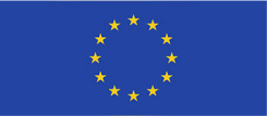 6 1